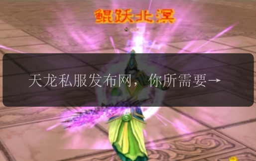 天龙私服发布网，你所需要的一切都在这里 