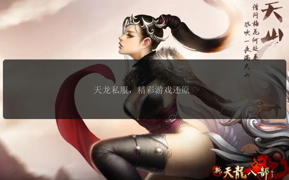 天龙私服，精彩游戏还原 