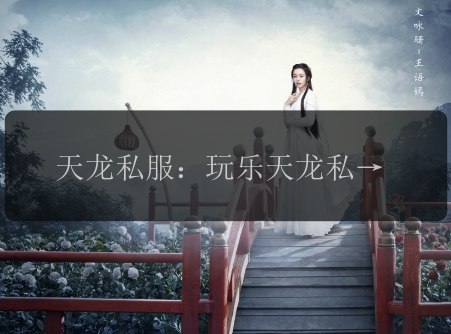 天龙私服：玩乐天龙私服让你久玩不厌！ 