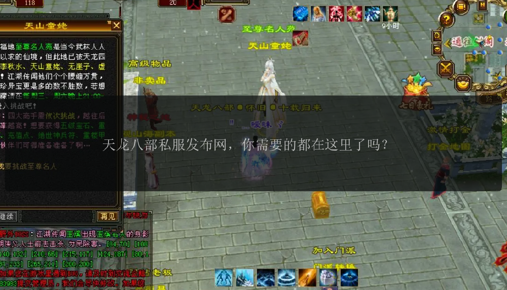 天龙八部私服发布网，你需要的都在这里了吗？ 