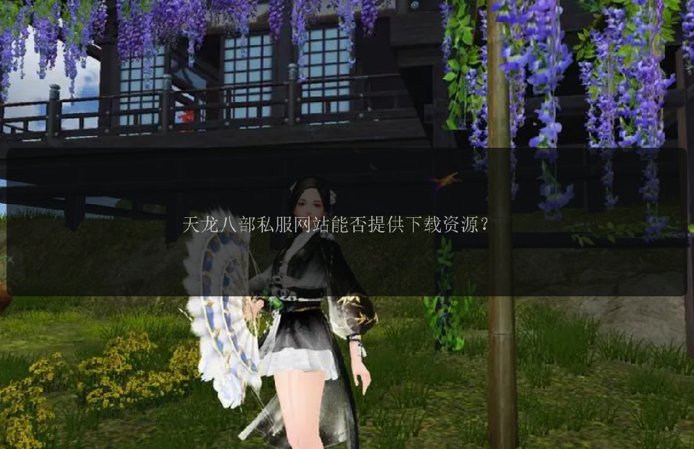 天龙八部私服网站能否提供下载资源？ 